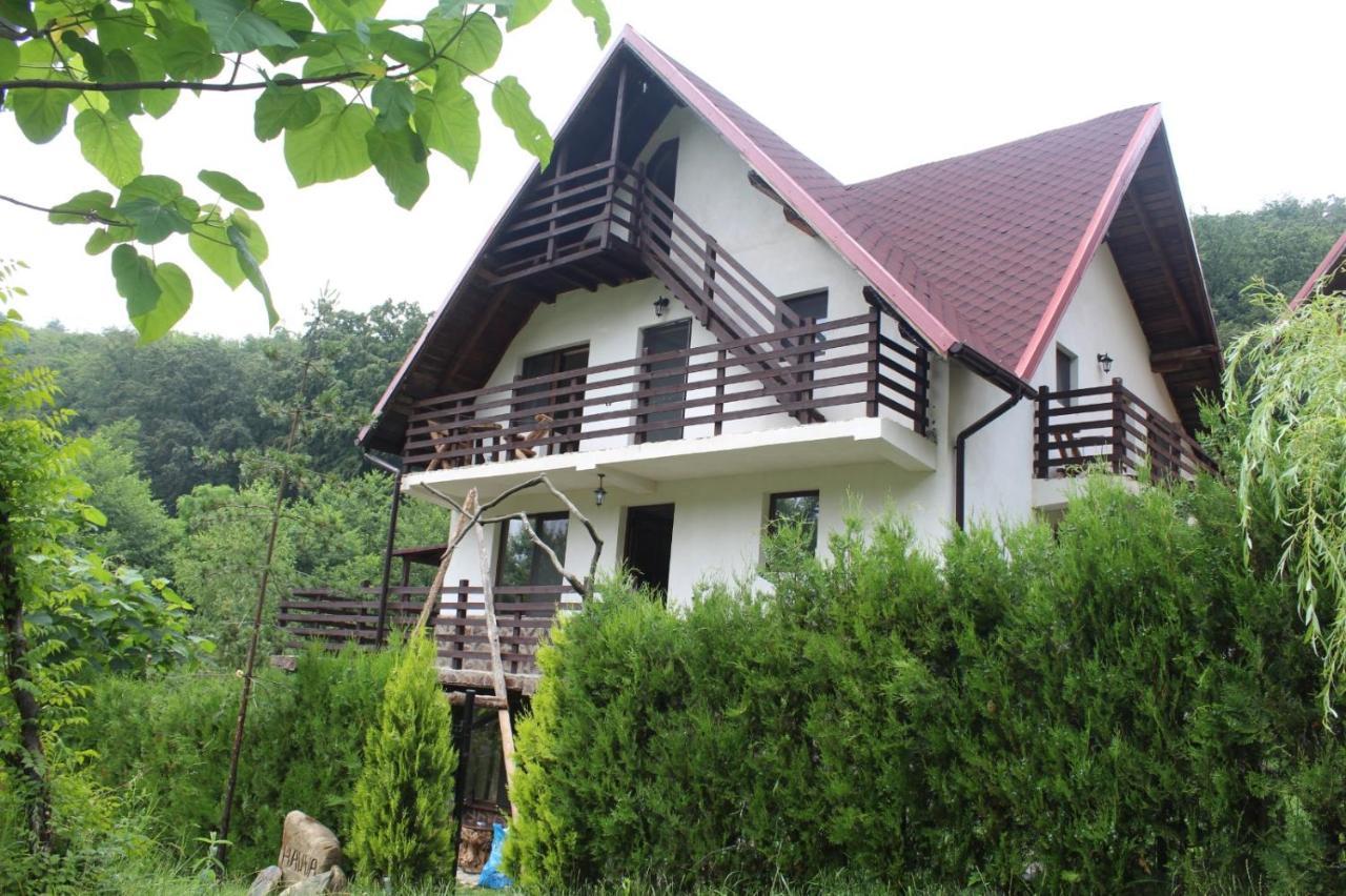 Havva Hotel Calimanesti Luaran gambar