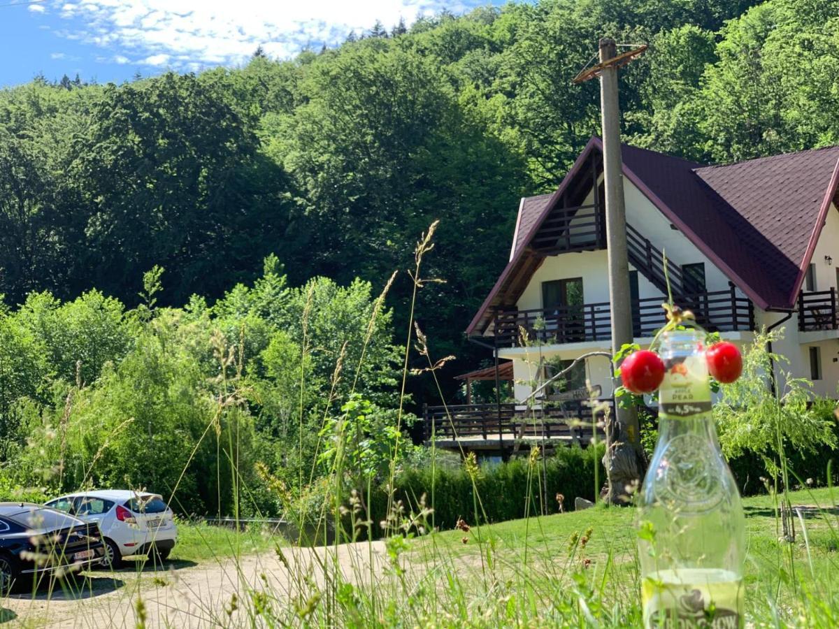Havva Hotel Calimanesti Luaran gambar