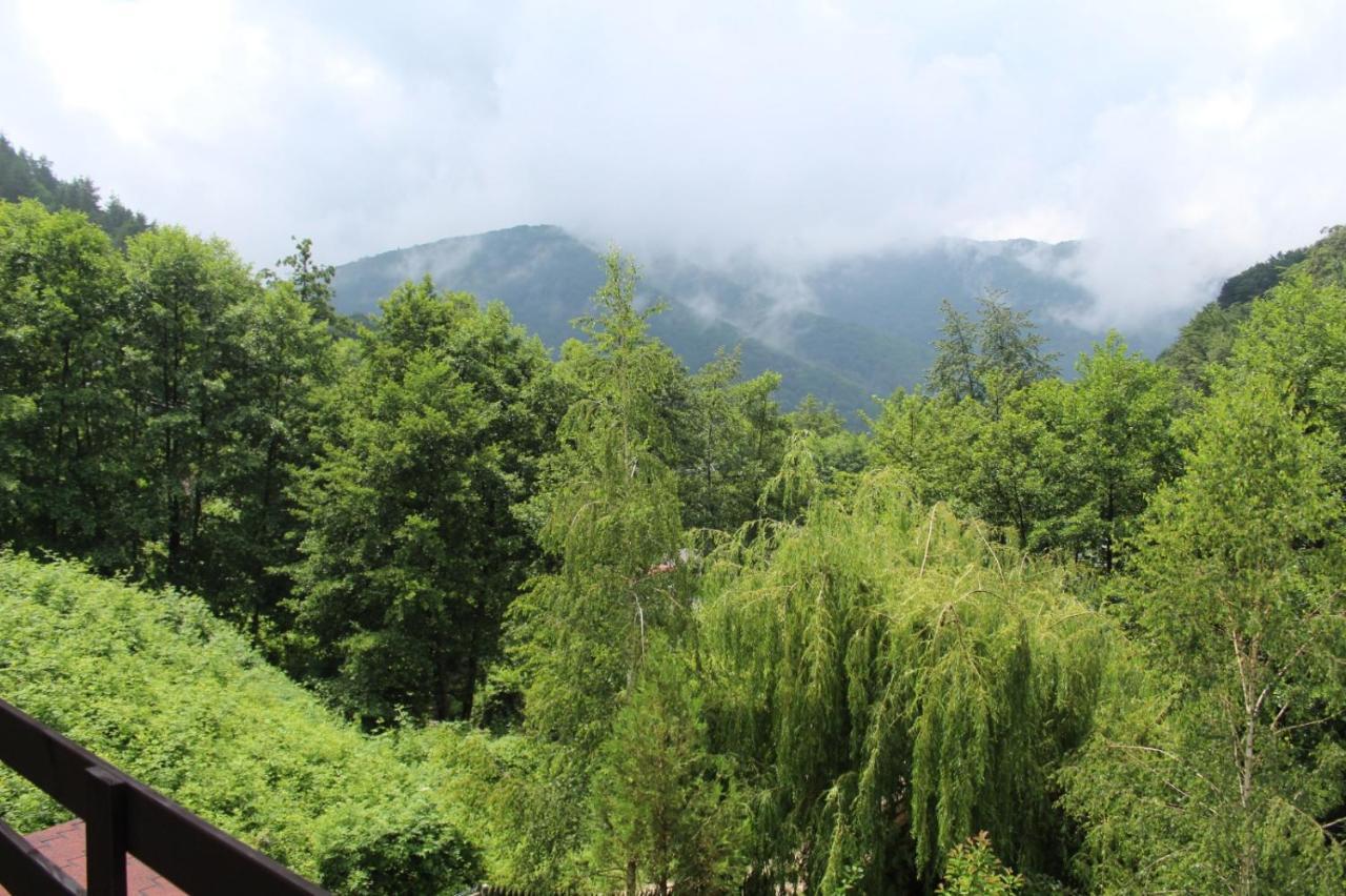 Havva Hotel Calimanesti Luaran gambar