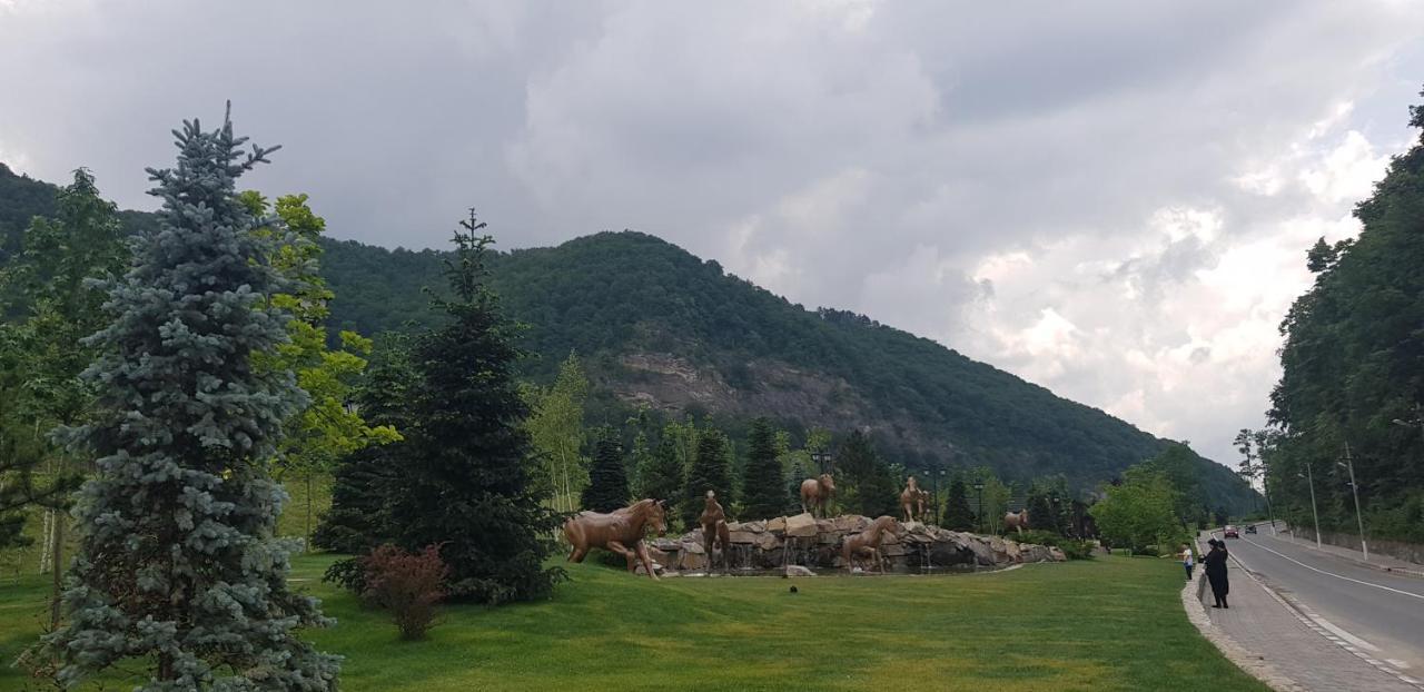 Havva Hotel Calimanesti Luaran gambar