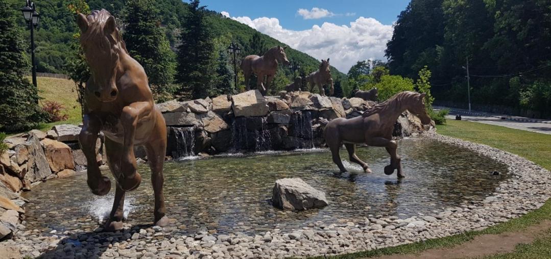 Havva Hotel Calimanesti Luaran gambar