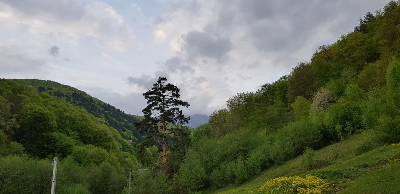 Havva Hotel Calimanesti Luaran gambar